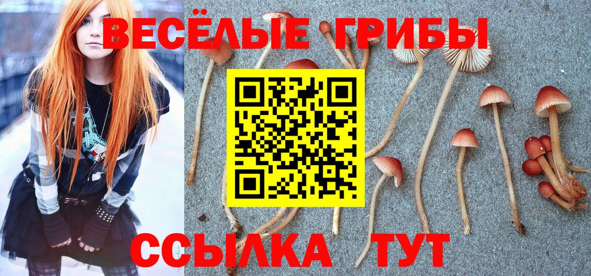 Псилоцибиновые грибы GOLDEN TEACHER Серпухов