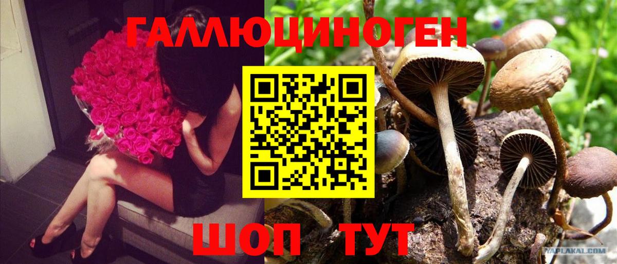 Серпухов  Псилоцибиновые грибы мухоморы  что такое   Вход с VPN 